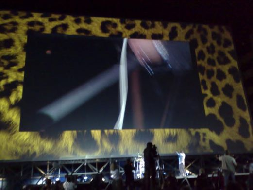 locarno festival