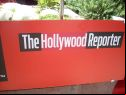 Cannes Film Festival