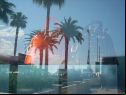 Cannes Film Festival