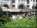 Cannes Film Festival