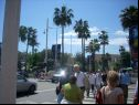 Cannes Film Festival