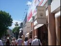Cannes Film Festival