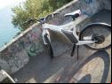 Smart sponsor of Ischia Global