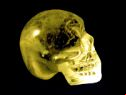 Crystal Skull